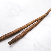 マーブル模様のごぼう2本、土付きの新鮮な根菜食材の写真