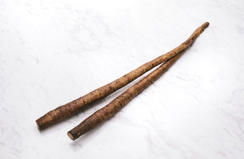 マーブル模様のごぼう2本、土付きの新鮮な根菜食材