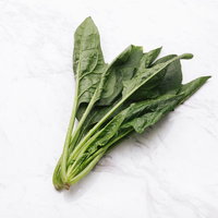 水滴がついた新鮮なほうれん草の葉物野菜の写真