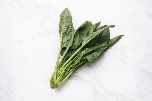 水滴がついた新鮮なほうれん草の葉物野菜