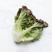 マーブル模様のテーブルに置かれたサニーレタスの写真