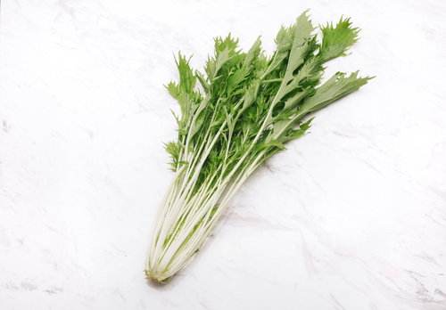 白い茎が目立つ採れたての水菜の食材写真。新鮮な野菜