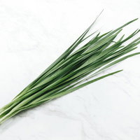 束ねたニラ（食材）新鮮な青ねぎの薬味、採れたての生鮮野菜の写真