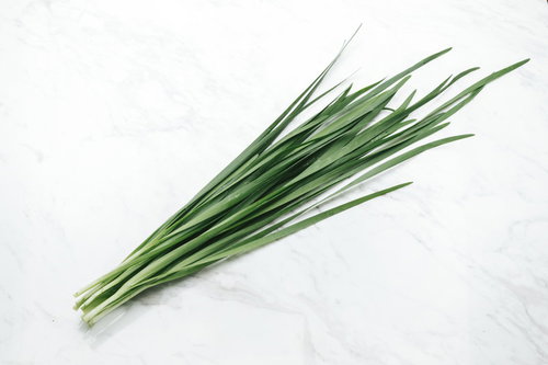 束ねたニラ（食材）新鮮な青ねぎの薬味、採れたての生鮮野菜