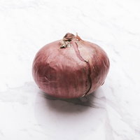 赤玉ねぎの新鮮な一個、採れたての食材、白い大理石の上に置かれた球形の野菜の写真