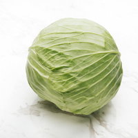 丸々としたキャベツの採れたて食材｜新鮮野菜の写真