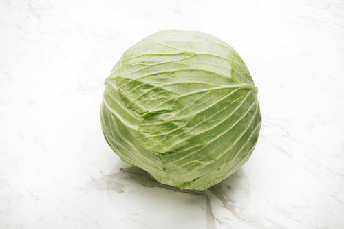 丸々としたキャベツの採れたて食材｜新鮮野菜