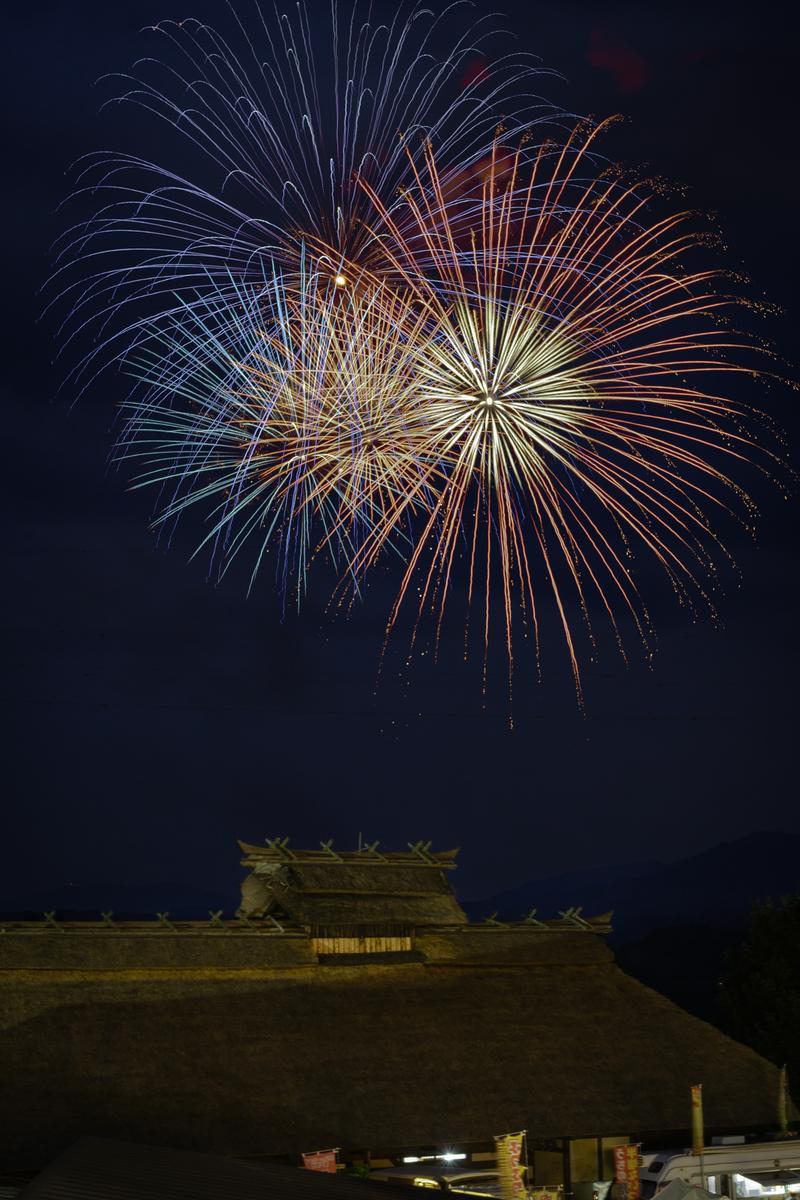 古い城跡を背景に夜空で開く大輪の花火、青と赤橙色の光が放射状に広がっている