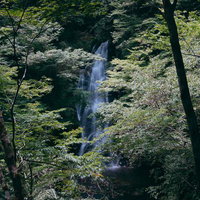 木々の間から垣間見る滝の流れ 福島県の渓谷で見た新緑と水流の写真