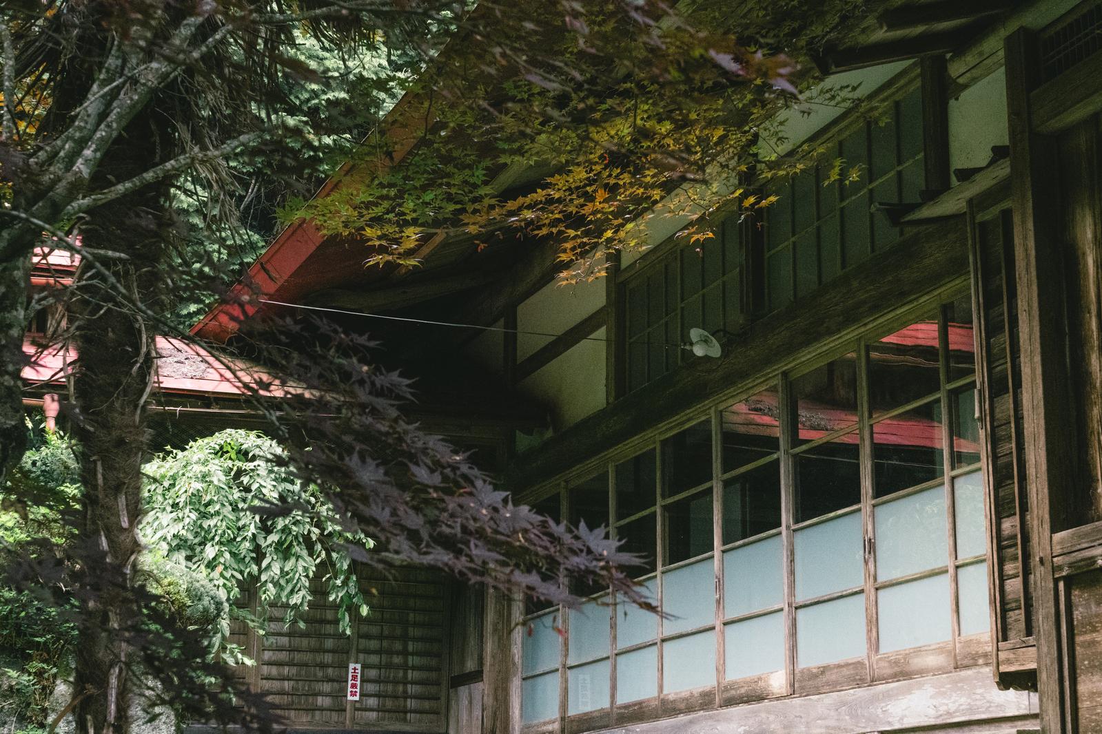 東堂山満福寺の東堂会館。秋のもみじと古い木造建築