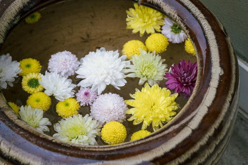 岳温泉神社の手水舎に浮かぶ黄色とピンクの菊の花手水