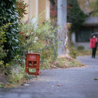 岳温泉の古い路地に置かれた赤いビールケースの写真