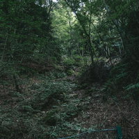 行司ヶ滝周辺の落石注意を示す柵と雑木林の登山道の写真