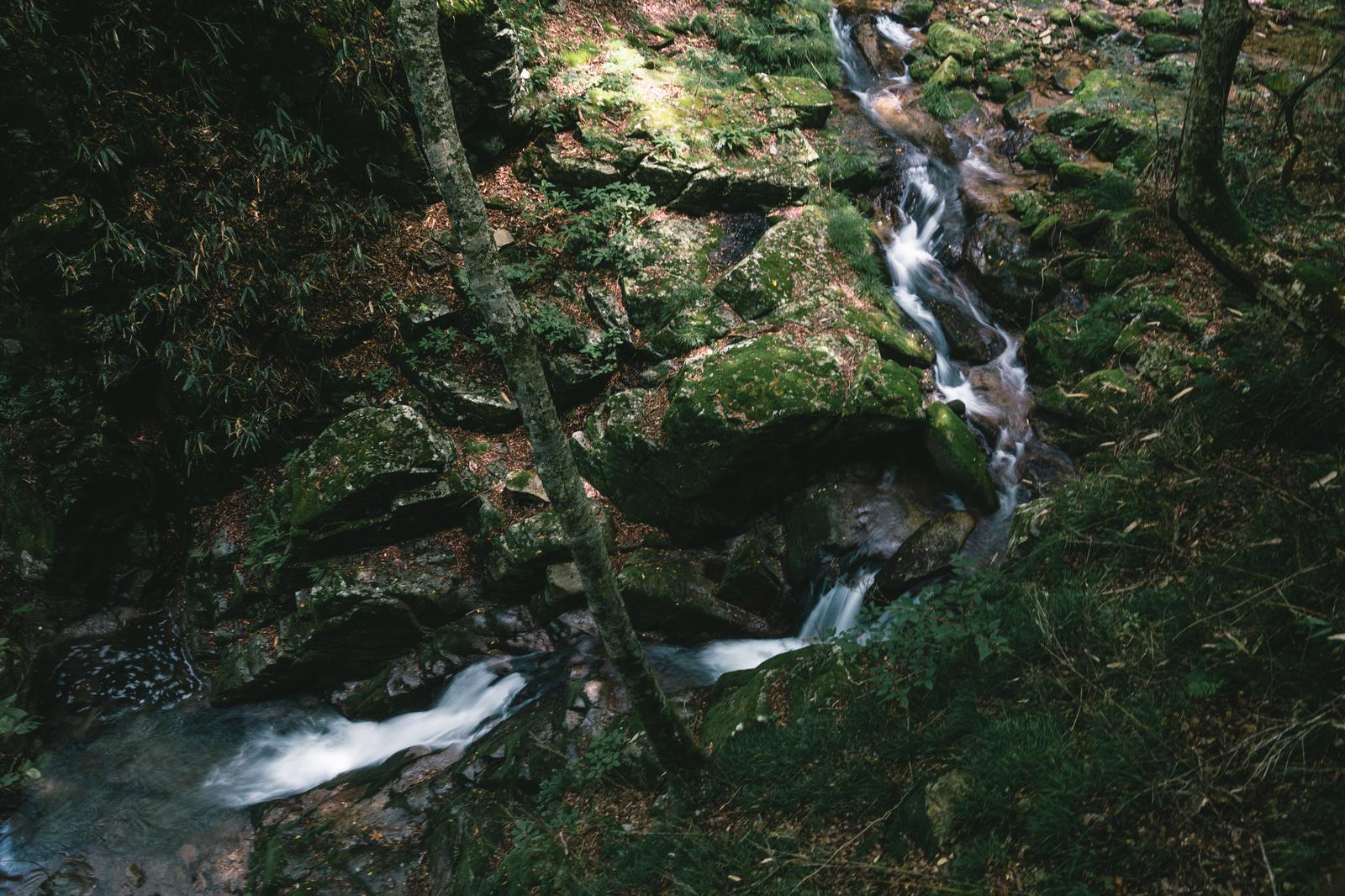 福島県田村市の行司ヶ滝。苔に覆われた岩肌を白い滝水が流れ落ちる