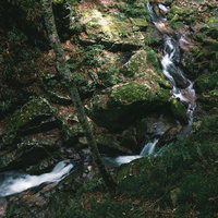 行司ヶ滝の苔むした岩肌を流れ落ちる滝水と渓流風景の写真