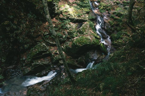 行司ヶ滝の苔むした岩肌を流れ落ちる滝水と渓流風景