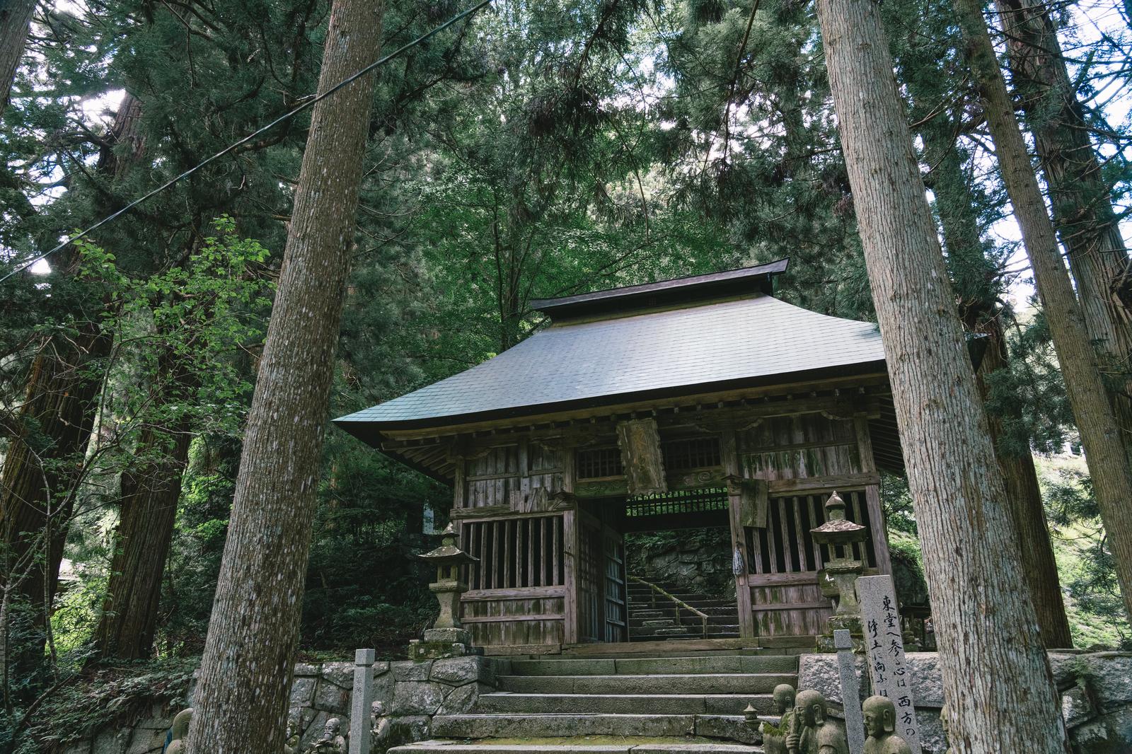 杉の大木に囲まれた境内に建つ、屋根を葺き替えた東堂山満福寺の仁王門