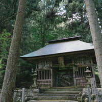 杉林に囲まれた東堂山満福寺の仁王門と石段の写真