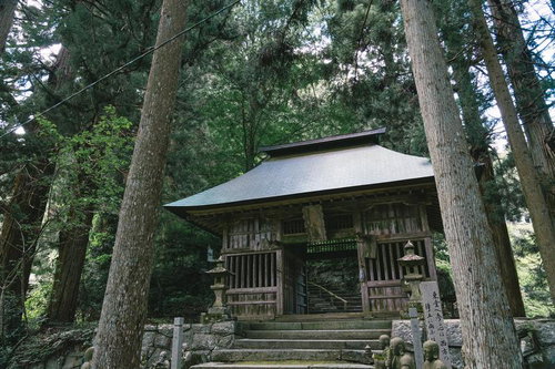 杉林に囲まれた東堂山満福寺の仁王門と石段