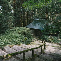 仁王門から奥へ続く東堂山満福寺の苔むした石段の写真