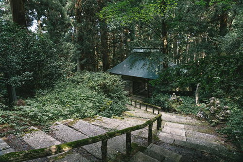 仁王門から奥へ続く東堂山満福寺の苔むした石段