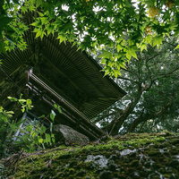 青く茂る樹木に囲まれた東堂山満福寺の境内の写真