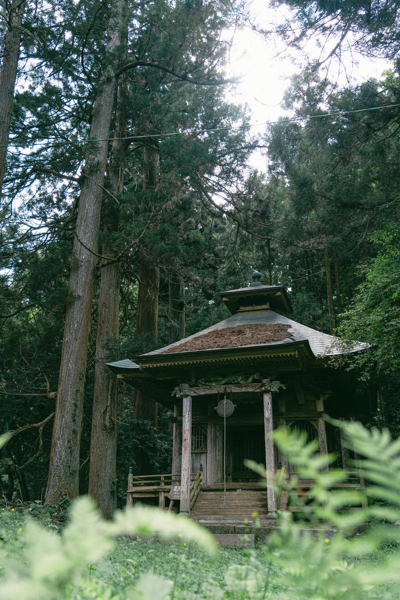 森に囲まれた木造の毘紗門堂。苔むした屋根と古い建築が見える