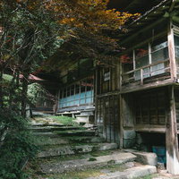 緑に包まれた東堂山満福寺の石段と阿弥陀堂入り口の写真