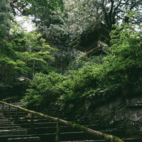東堂山満福寺の緑に包まれた石段と鐘楼、苔むした参道の古刹の写真