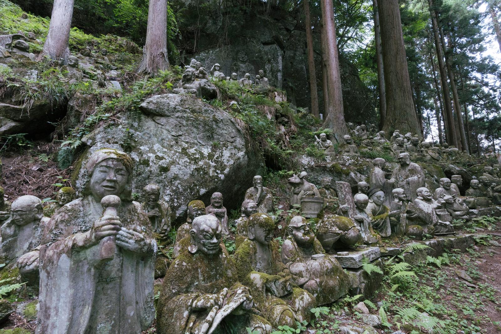 苔が付いた羅漢石像が群立する東堂山満福寺の森林境内