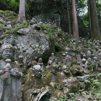東堂山満福寺の苔むした羅漢石像が群立する境内風景の写真