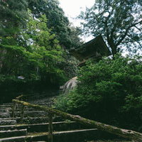 緑に囲まれた東堂山満福寺の参道石段と鐘楼の写真