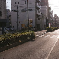 吉原花園通りの住宅街と道路の風景の写真