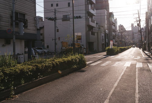 吉原花園通りの住宅街と道路の風景