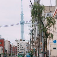 見返り柳とスカイツリーが見える吉原の街並みの写真
