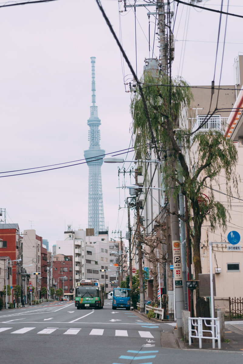 住宅街の道路から見える見返り柳と遠くに立つ東京スカイツリー