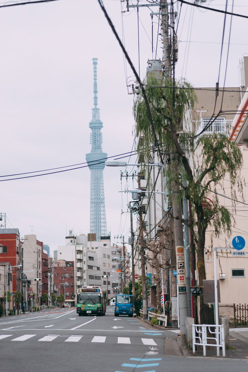 見返り柳とスカイツリーが見える吉原の街並み