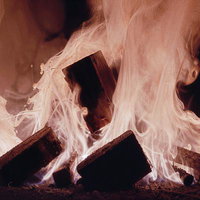 白い炎が舞う木炭の燃焼風景、暗い背景に立ち上る焚き火の写真