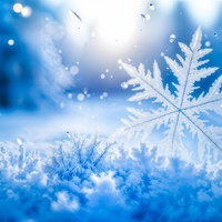 雪面に立つ雪の結晶の写真