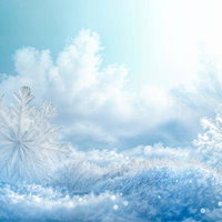 雪の結晶と氷の世界の写真