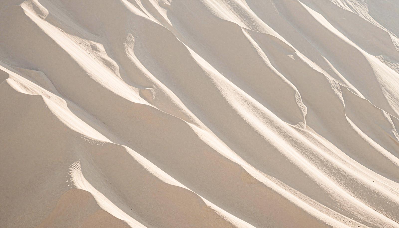 Wind ripple patterns on a desert surface with three-dimensional effects created by light and shadow, and undulating wave-like landforms