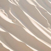 白とベージュに染まる砂丘の風紋模様の写真