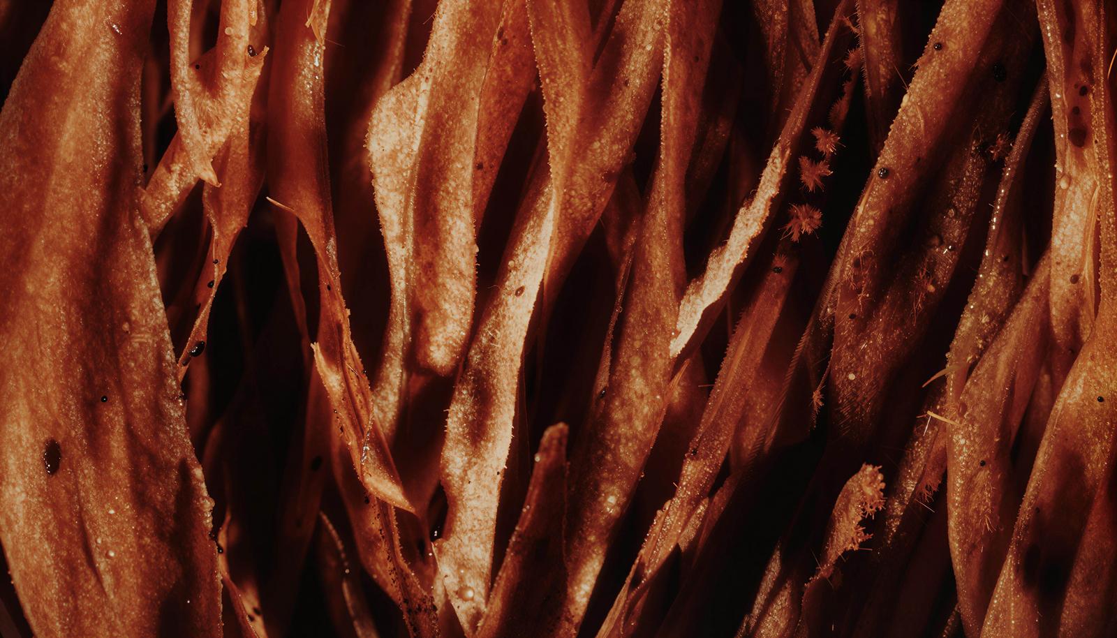 Flame-like reddish-brown band texture