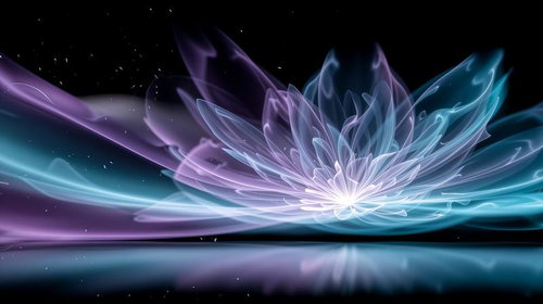 暗闇に浮かび上がる青紫の光る蓮の花