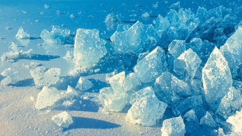 青い水面に浮かぶ透明な氷塊の集合体