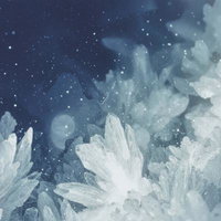 白い花と雪が舞う青い夜空の凍る世界の写真