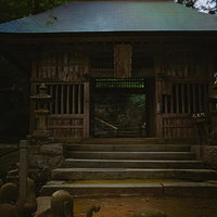 樹々に囲まれた東堂山満福寺の仁王門、青い瓦屋根と石造灯籠が並ぶ参道の写真