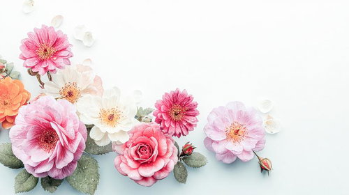 水滴に光る花々の集合（ピンク・白・オレンジ系）