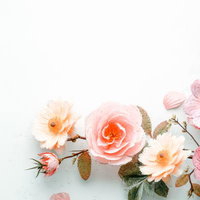 ピンク・黄色・オレンジの春の花が咲き誇るフラワーアレンジメントの写真