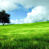 緑あふれる草原と雲に沈む都市風の景観、自然と都市の調和の写真